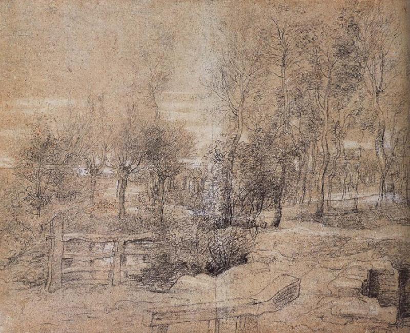 Peter Paul Rubens Forest landscape oil painting image